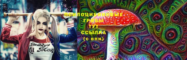 тгк Медвежьегорск