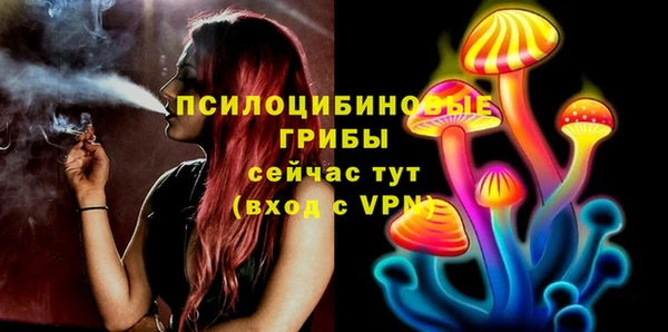 jwh Медногорск